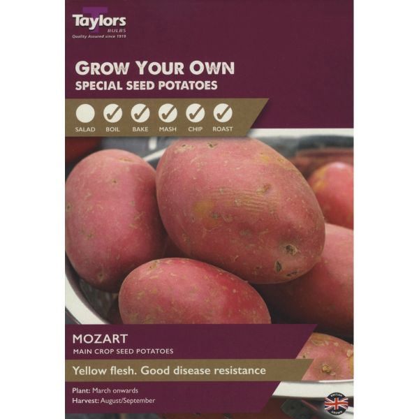 Mozart Seed Potatoes Taster Pack of 10